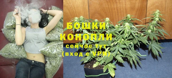 крисы Рославль