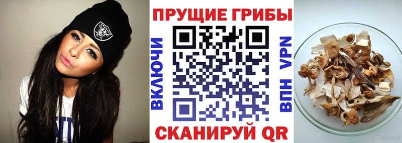Псилоцибиновые грибы мухоморы  купить   Кукмор 